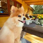 Siedlisko Sapunki Dom Z Dusza Rybaka Na Warmii Bogdany