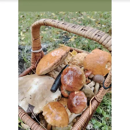 Villa Siedlisko Sapunki Dom Z Dusza Rybaka Na Warmii *