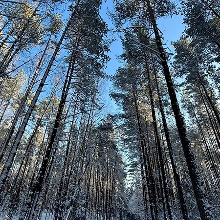 וילה Siedlisko Sapunki Dom Z Dusza Rybaka Na Warmii *