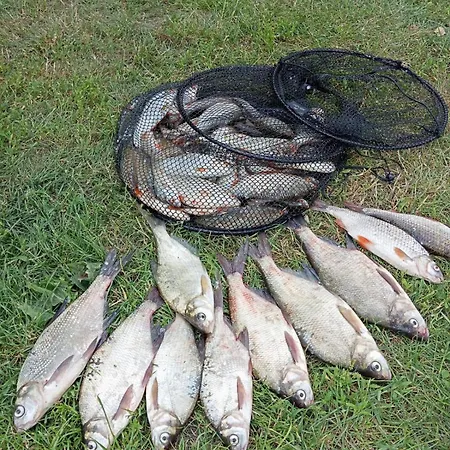 Siedlisko Sapunki Dom Z Dusza Rybaka Na Warmii וילה *