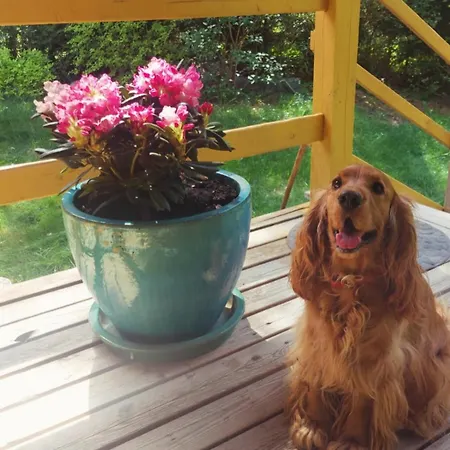 Siedlisko Sapunki Dom Z Dusza Rybaka Na Warmii *