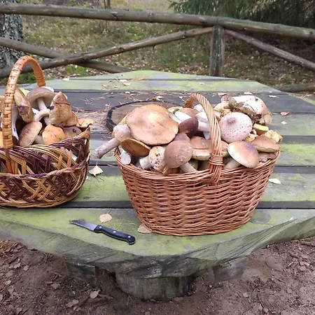 וילה Siedlisko Sapunki Dom Z Dusza Rybaka Na Warmii