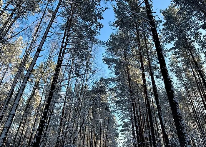 Villa Siedlisko Sapunki Dom Z Dusza Rybaka Na Warmii *