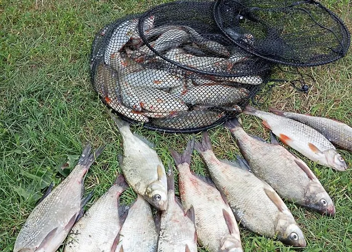 Siedlisko Sapunki Dom Z Dusza Rybaka Na Warmii Villa *