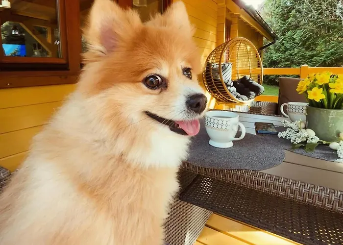 Siedlisko Sapunki Dom Z Dusza Rybaka Na Warmii Bogdany