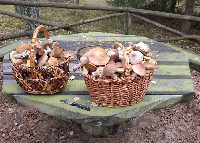 Villa Siedlisko Sapunki Dom Z Dusza Rybaka Na Warmii